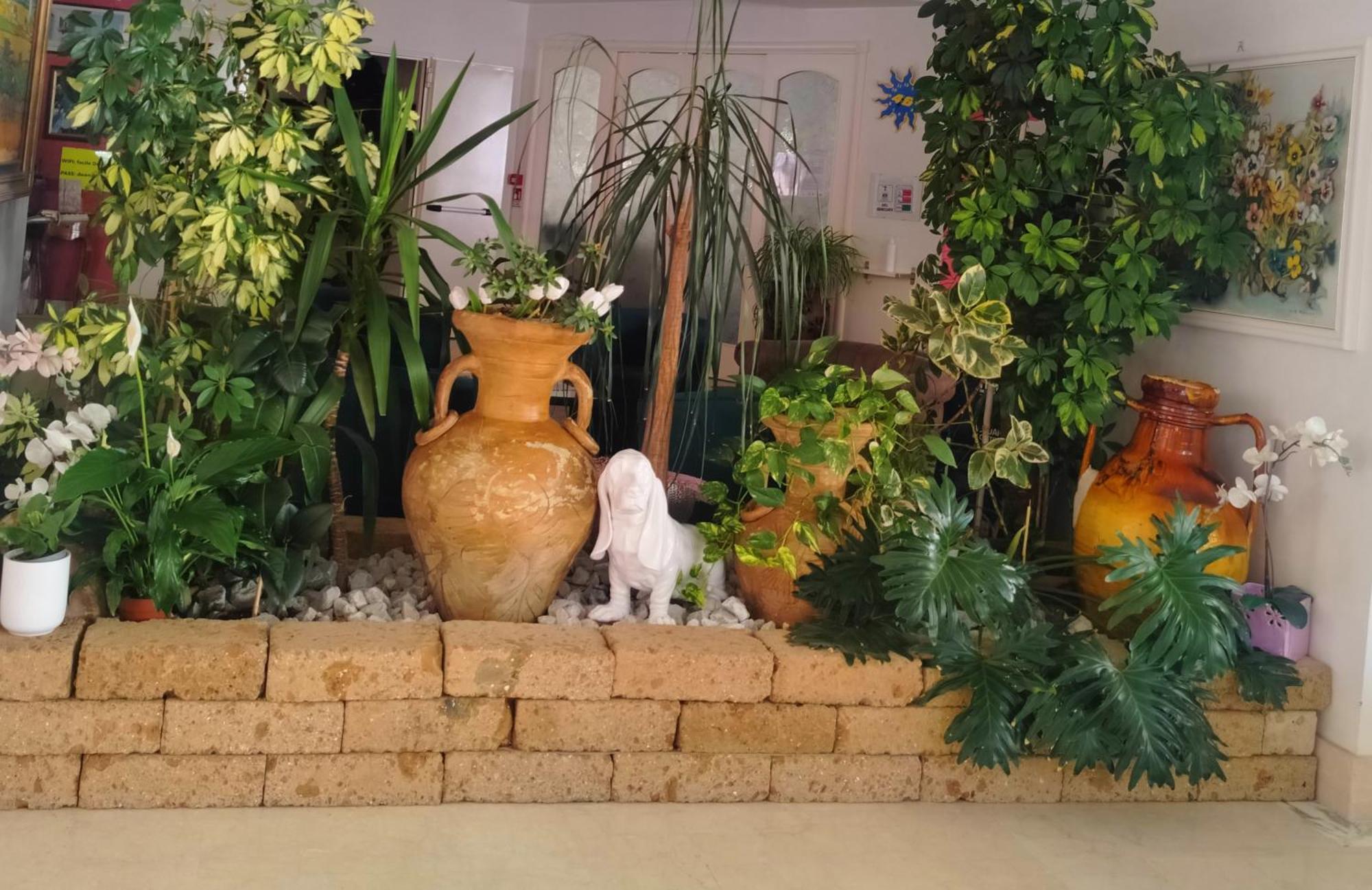 Hotel De Amicis Riccione Luaran gambar